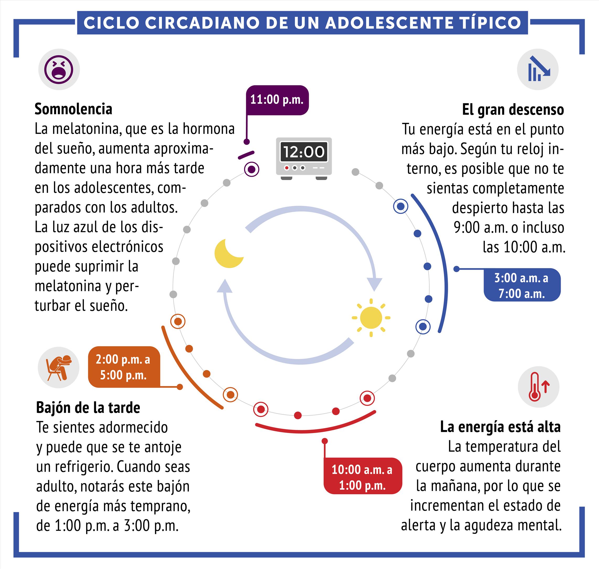 El 2025 ciclo circadiano